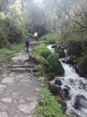 インカトレイル